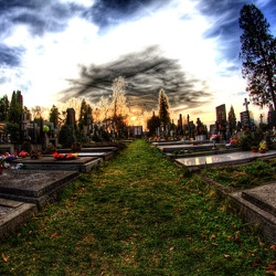 Neředínský hřbitov při západu